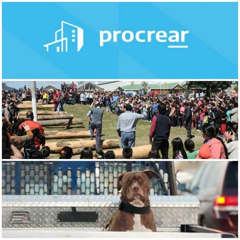 258860505_4557329821024039_176329130409579212_n