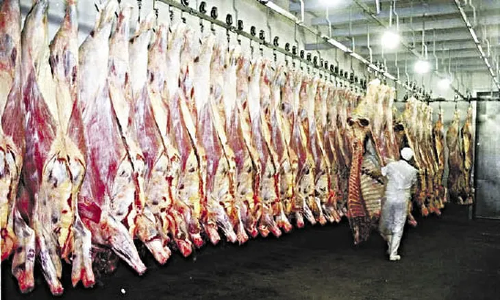 p8-frigorifico-1-ab_optjpeg