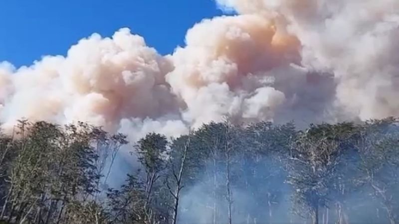 f800x450-99532_150978_5050