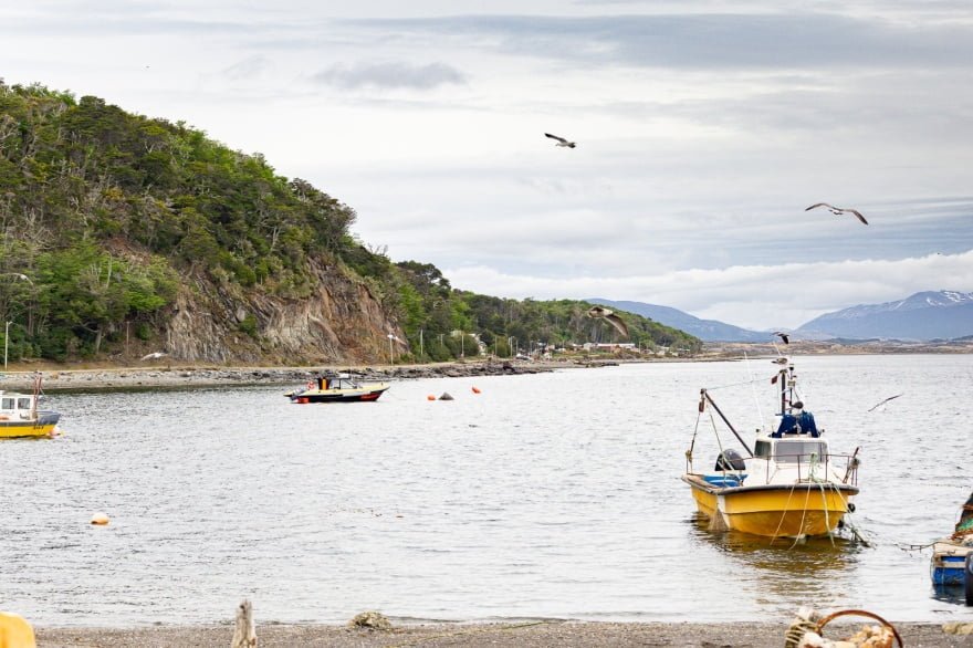 20230703191327_pesca