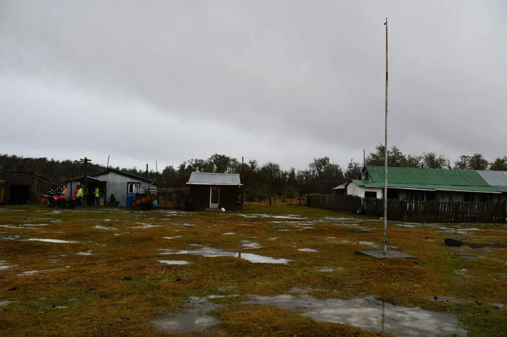 multimedia.normal.8cefd5079101bc03.TWFsdHJhdG8gYW5pbWFsIGVxdWlub19ub3JtYWwud2VicA==