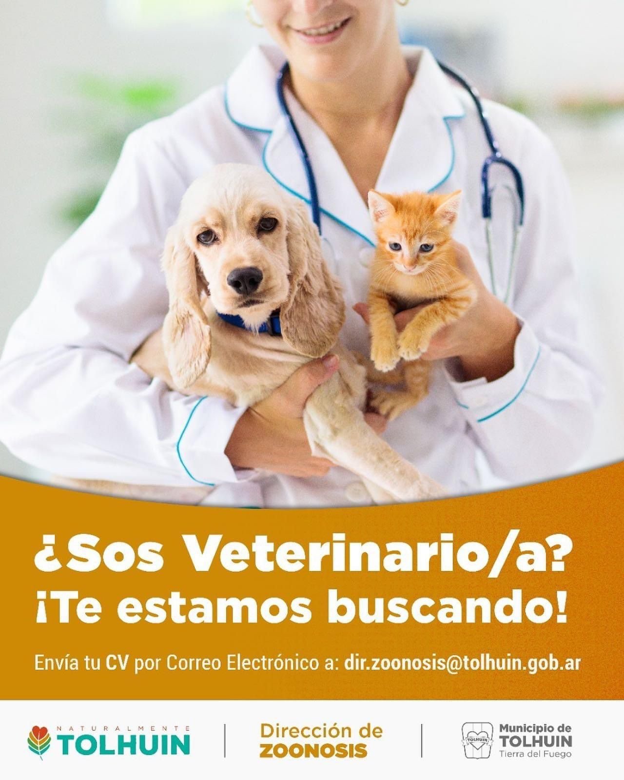 81384da7-f598-460d-9dd5-06c1aeabafb7