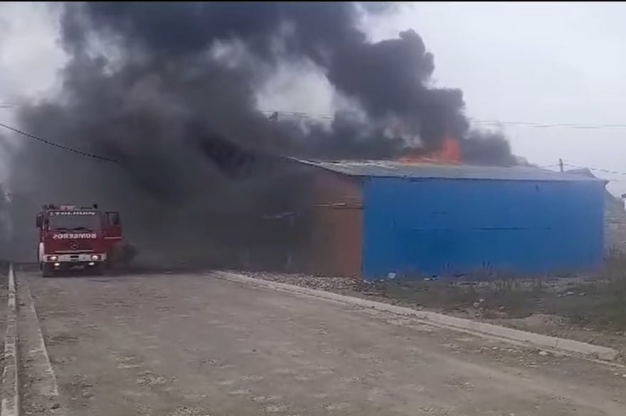 20231029164818_photo_5039826359156845433_y