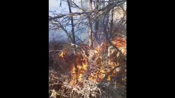 f685x385-110704_148397_5050