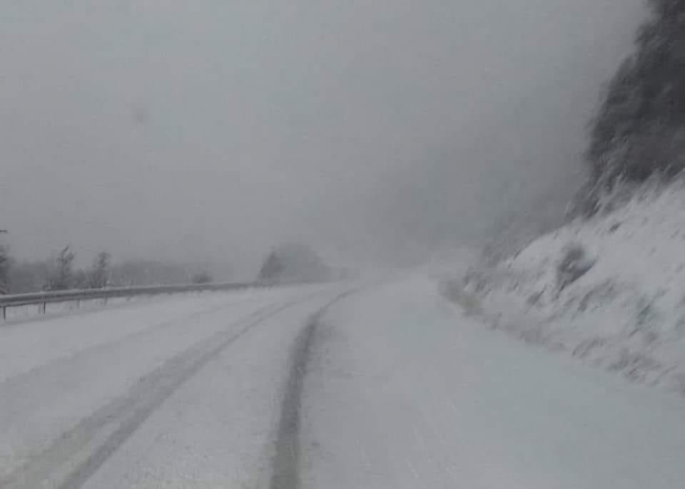 436859396_7660172830679553_6885209736702574699_n