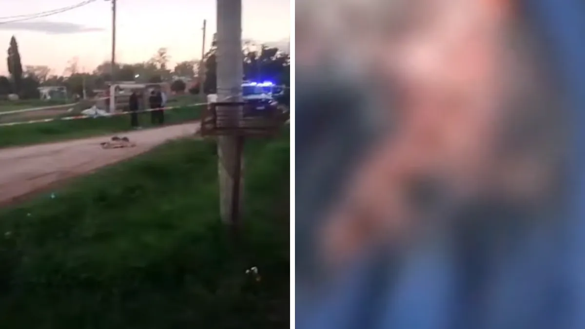 horror-jose-c-paz-abandonaron-un-bebe-una-jauria-lo-dejo-al-lado-y-un-auto-le-aplasto-la-cabeza-forma-accidental