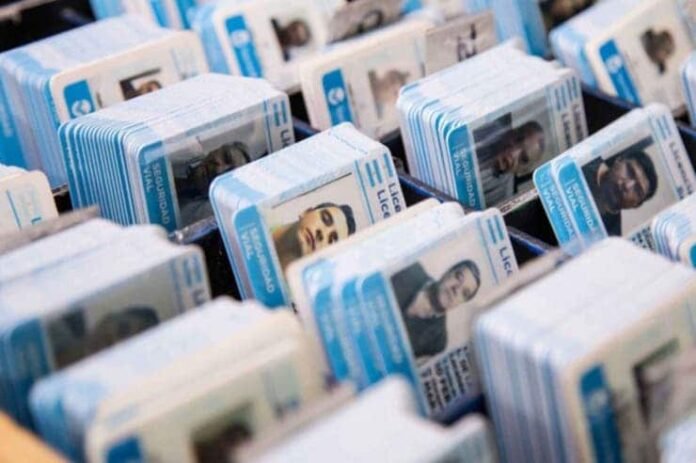 Licencias-de-conducir