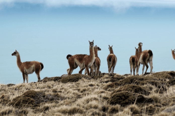 20241004090315_captura_de_pantalla_2024_10_04_a_la_s_09_03_05