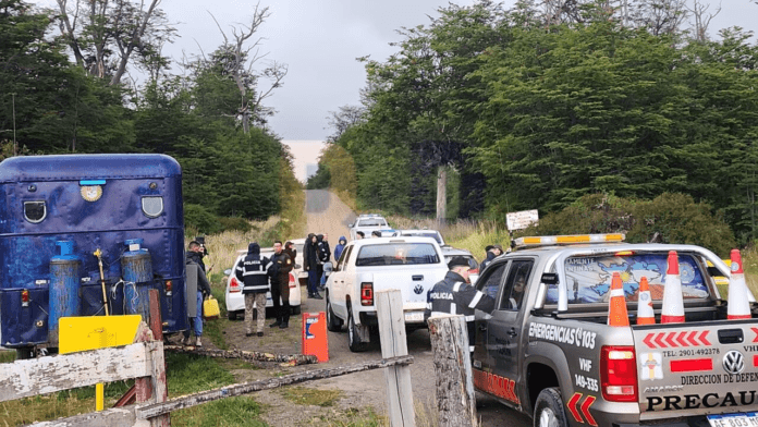 DeWatermark.ai_1733924736973