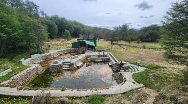 IMAGE-2024-12-09-235801-660x365