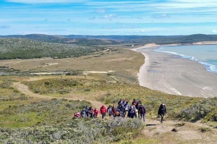 20250105005604_photo_2025_01_05_00_55_43