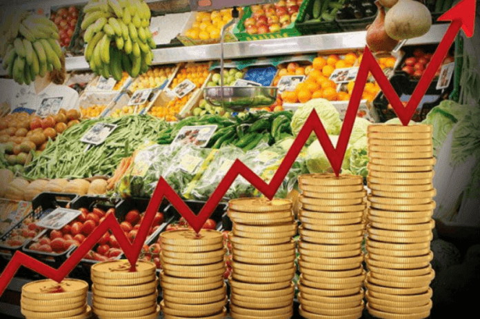 20250227080912_canasta_familiar