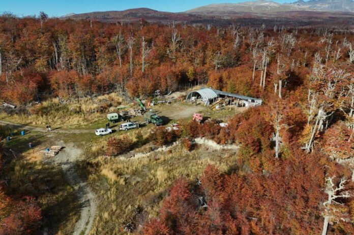 20250416134329_registran_tres_domicilios_y_rescatan_cuatro_presuntas_victimas_de_explotacion_laboral_2