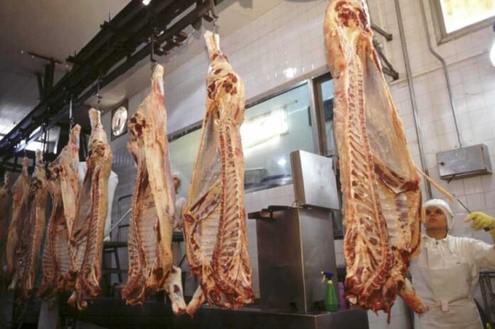 20250627102832_media_res_4