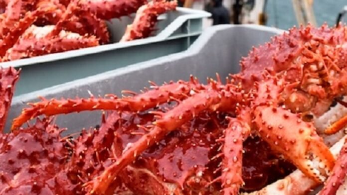 f579ff6a154c274ce65cf5b1889ed31d83b00006d52a3ccc_840