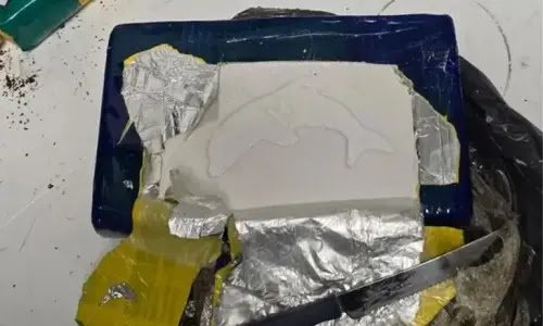 camionero-caleta-olivia-trasporte-cocaina-