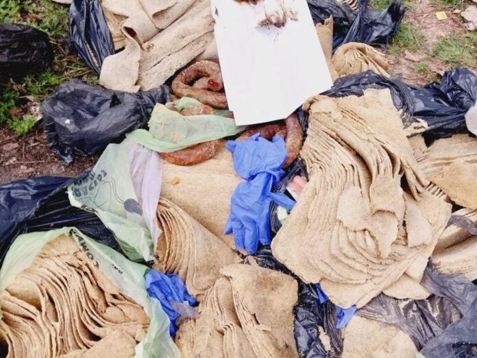 533081531_780679630999312_1461417469103584357_n