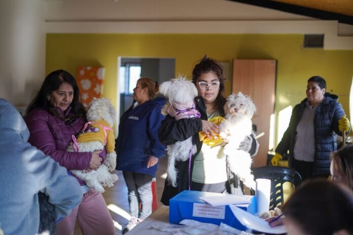 e2711d11-7d61-46b2-a87e-b66df4a8c6a5