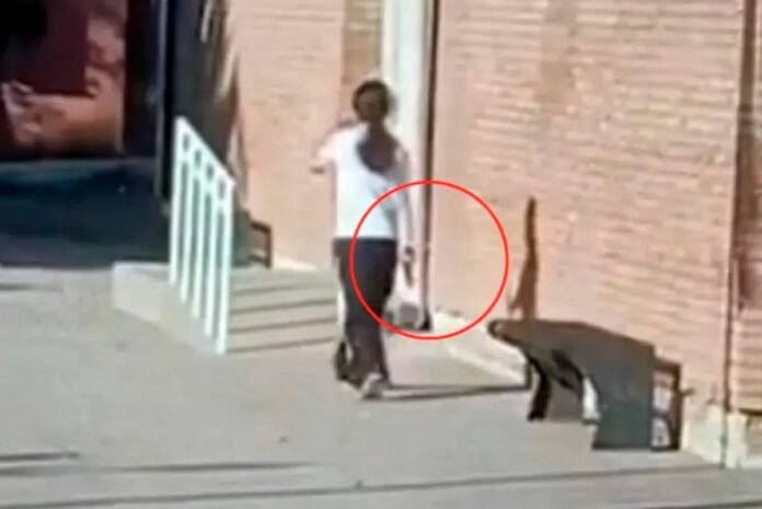 546938666_10239844085349881_5829542768870972774_n