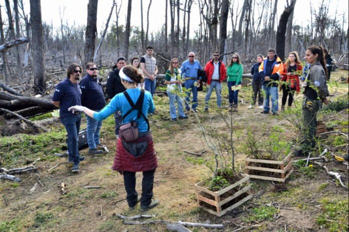 20251103122345_photo_2025_11_03_12_23_11