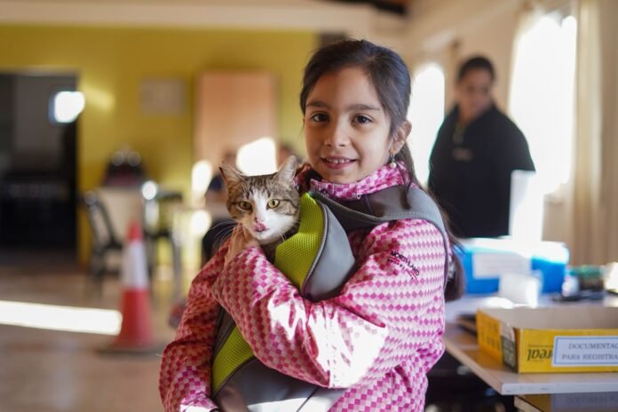 ba32f9ad-07a7-4cc0-a8bf-1a9ac004cf2e