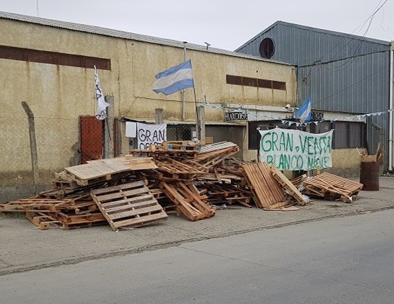 wmremove-transformed (1)