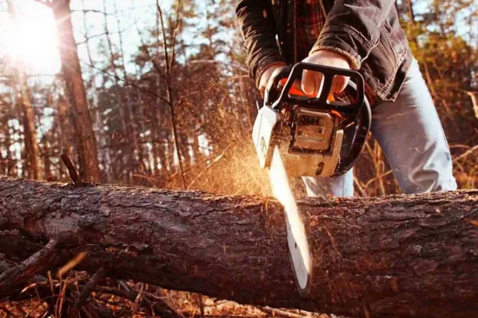 Consejos-para-usar-una-motosierra2-768x512