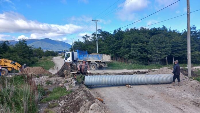 cbbd9571-78ca-4d12-9c57-96c8d415dd4e