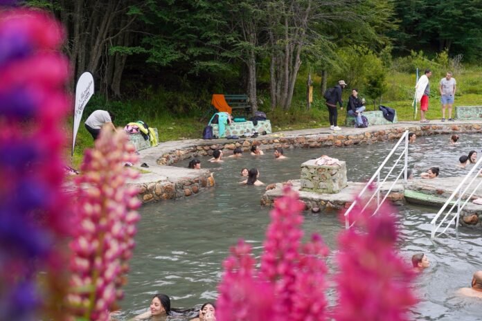 4bac50e5-f4ac-4925-8738-296feb1e7d8e