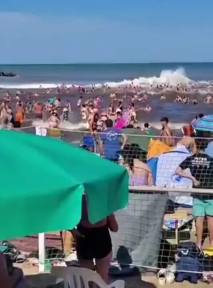 WhatsApp Image 2026-01-12 at 20.02.01