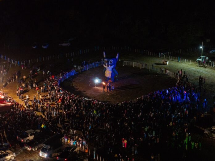 aab92706-538d-4590-9b26-155de3df7525