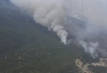 Chubut | Se refuerza el operativo para combatir el incendio que ya afecta unas 10 mil hectáreas en el Parque Nacional Los Alerces