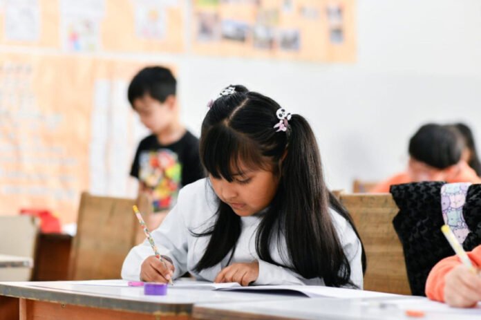 20260213084646_photo_4931559802815581238_y