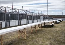 Todo listo para el Asado Internacional en Porvenir Chile: competencia, almuerzos y show artístico marcarán la XXIII versión