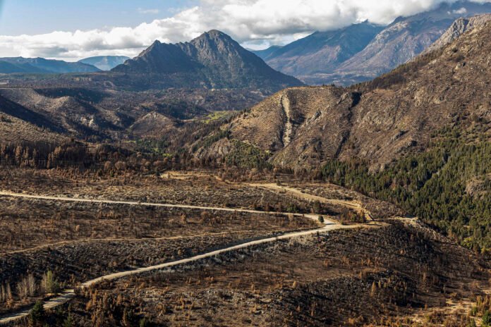 e0dd0fca-incendioscomarca_03-2048x1366