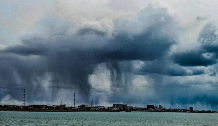 20260302075446_campana-81