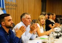 Oficial: convocan a audiencias públicas para debatir la reforma de la Ley de Glaciares