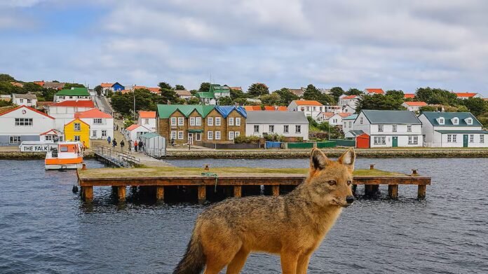 64TKFJDKXNFAJPDMUZJ43DMULY