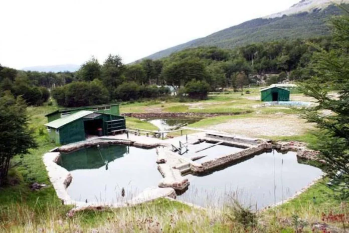 termas del rio valdez
