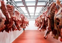 Indonesia, una nueva frontera para la carne argentina: la lección de Brasil